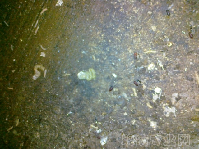 20120712624.jpg