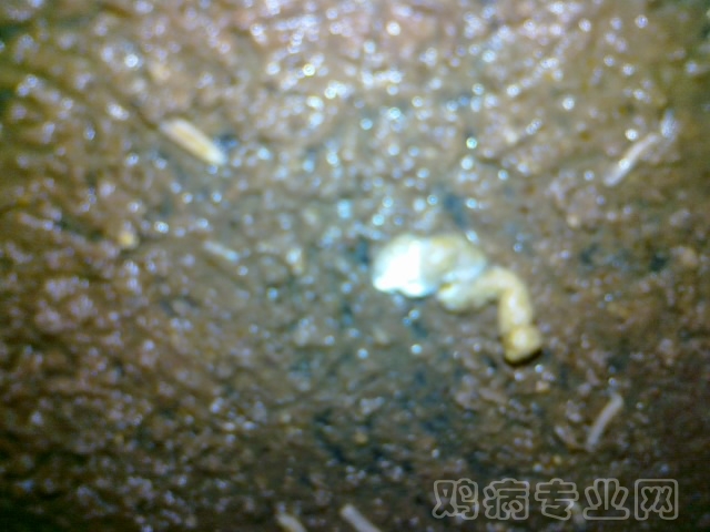 20120712618.jpg