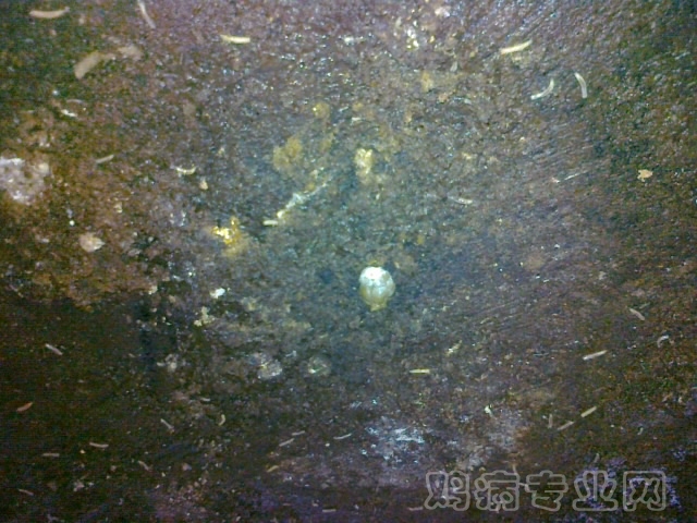 20120712621.jpg