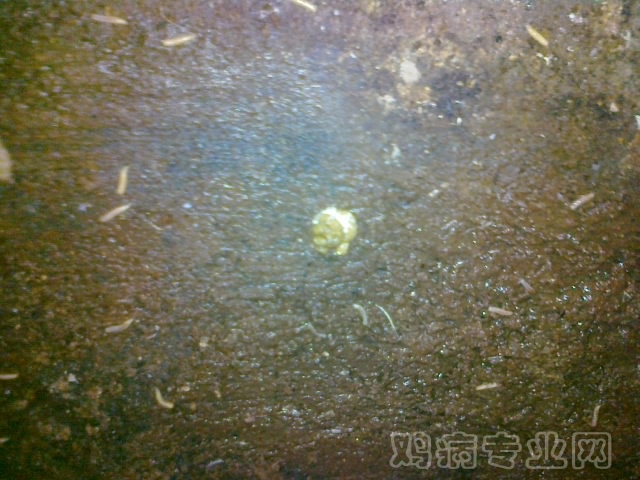 20120712625.jpg
