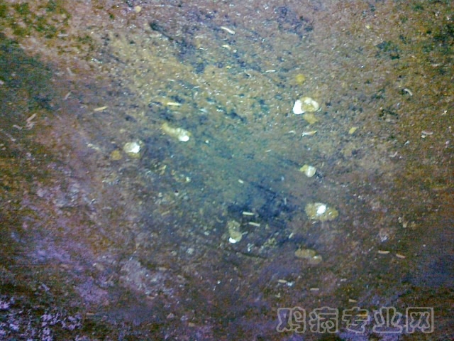 20120712617.jpg