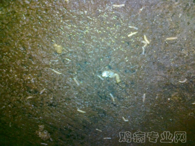 20120712619.jpg