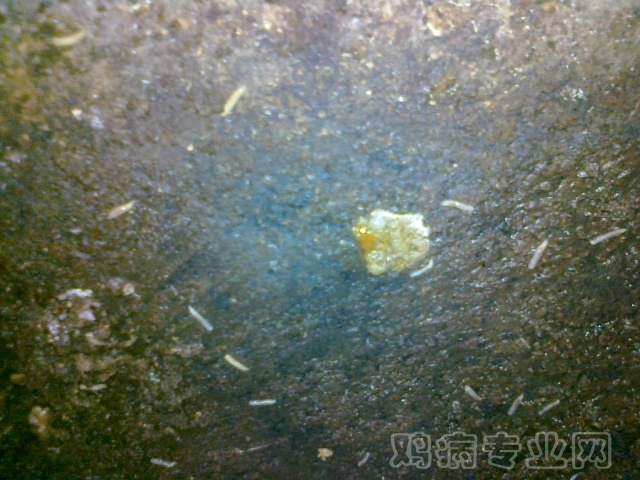 20120712622.jpg