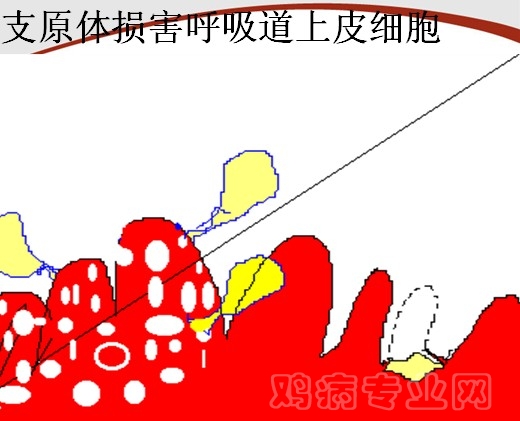 {_$E_%I1SY$T1W`ASHI@UDU.jpg