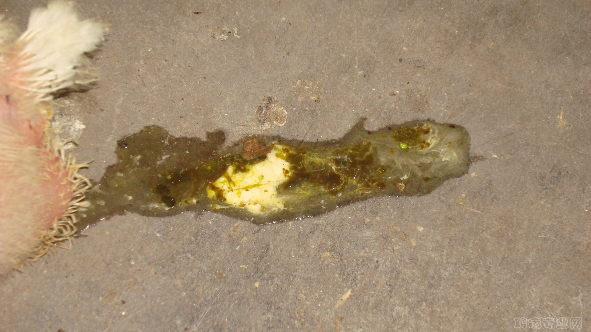 DSC03553.JPG