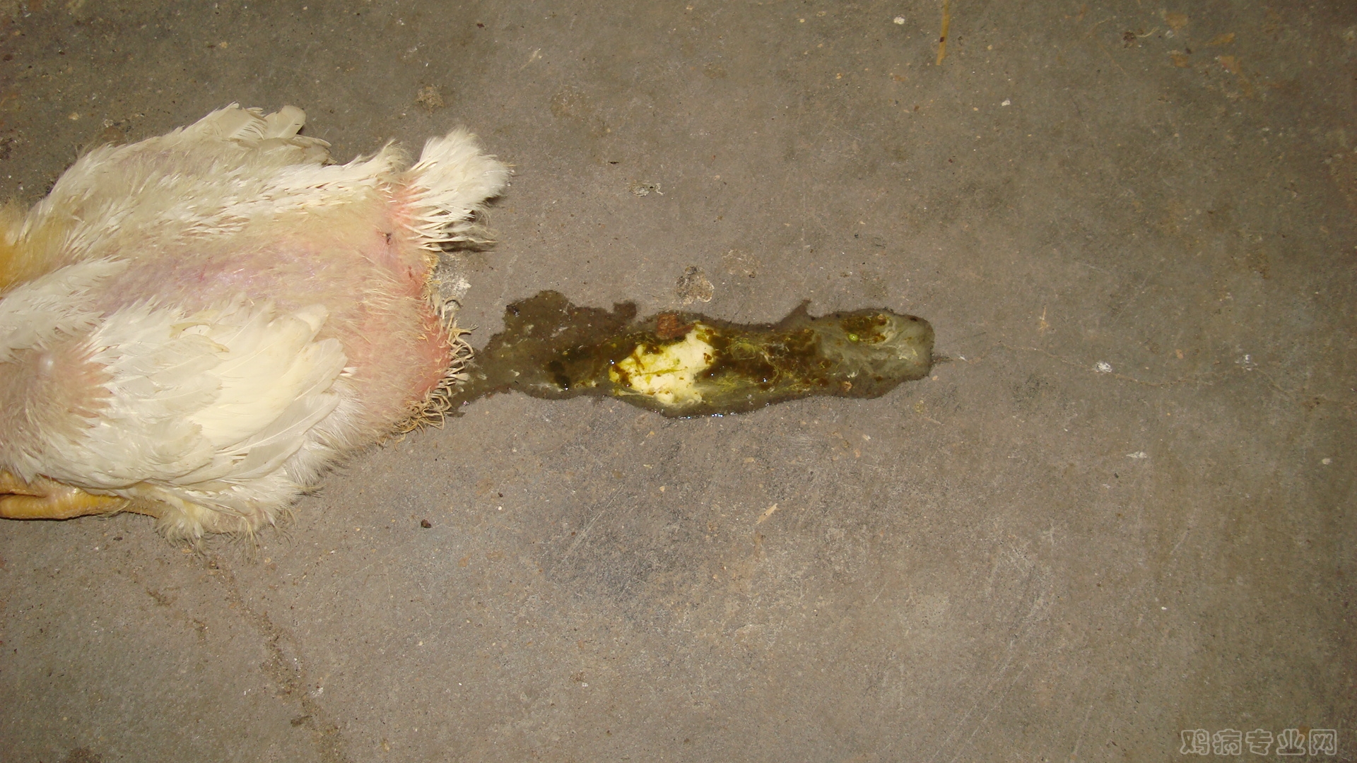 DSC03554.JPG
