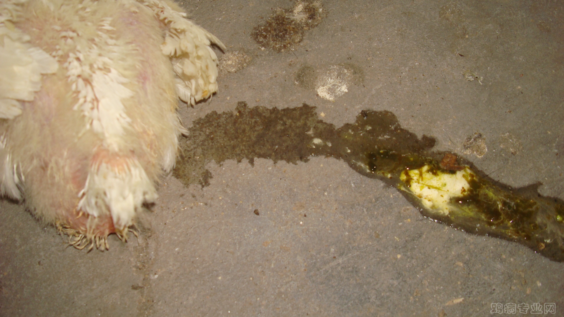 DSC03560.JPG
