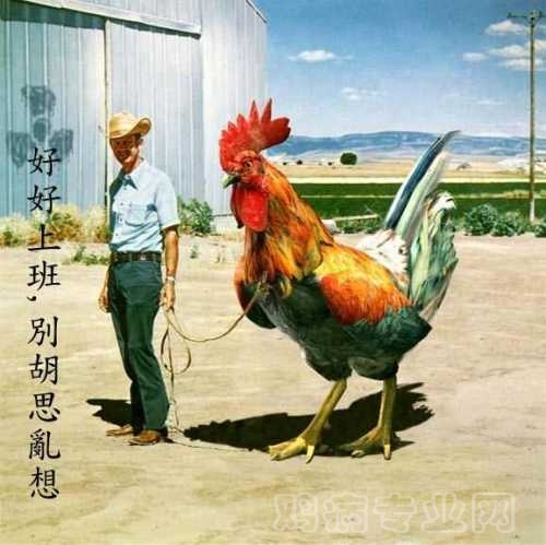 douxiaotupian-11181024.jpg