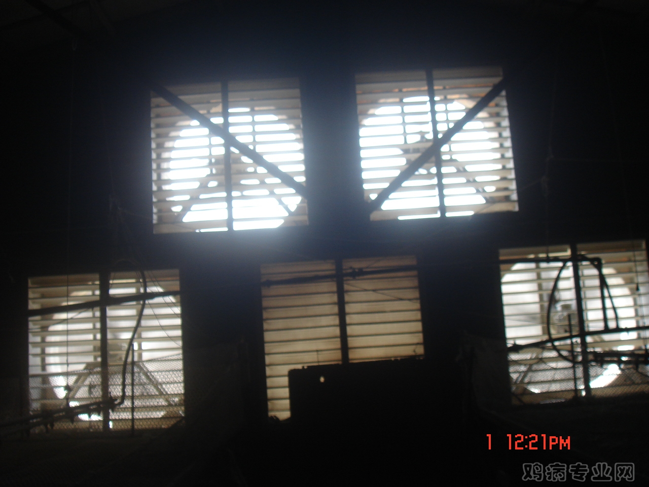 DSC08365.JPG