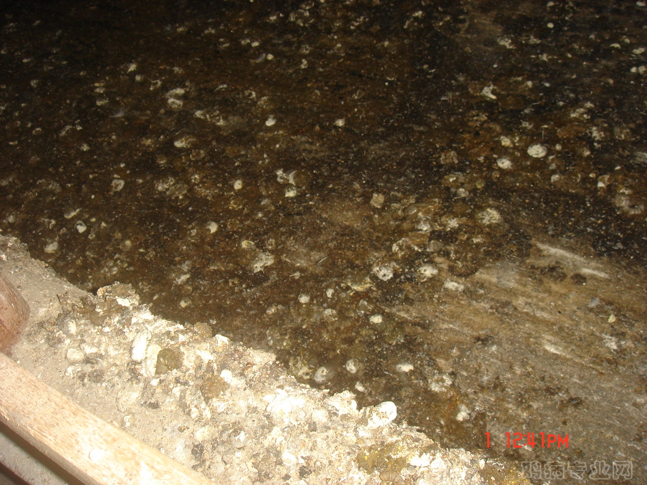 DSC08387.JPG