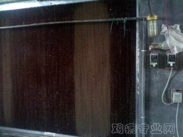 IMG00006.jpg