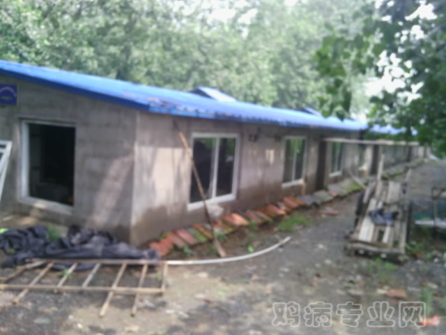 Camera_20120711_100556.jpg