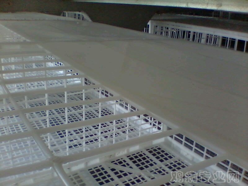 image_4.jpg