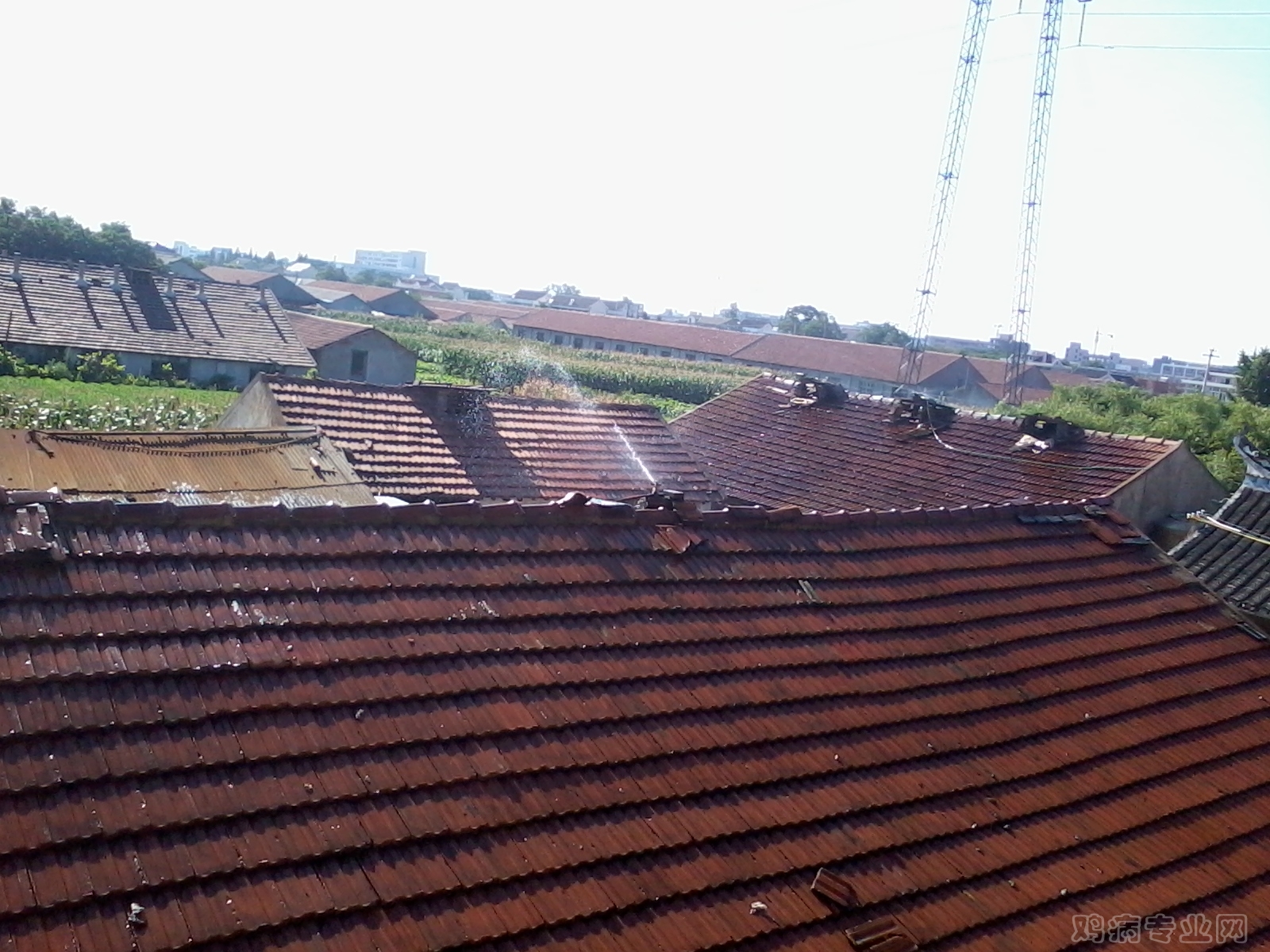 2012-07-29 15.48.30.jpg