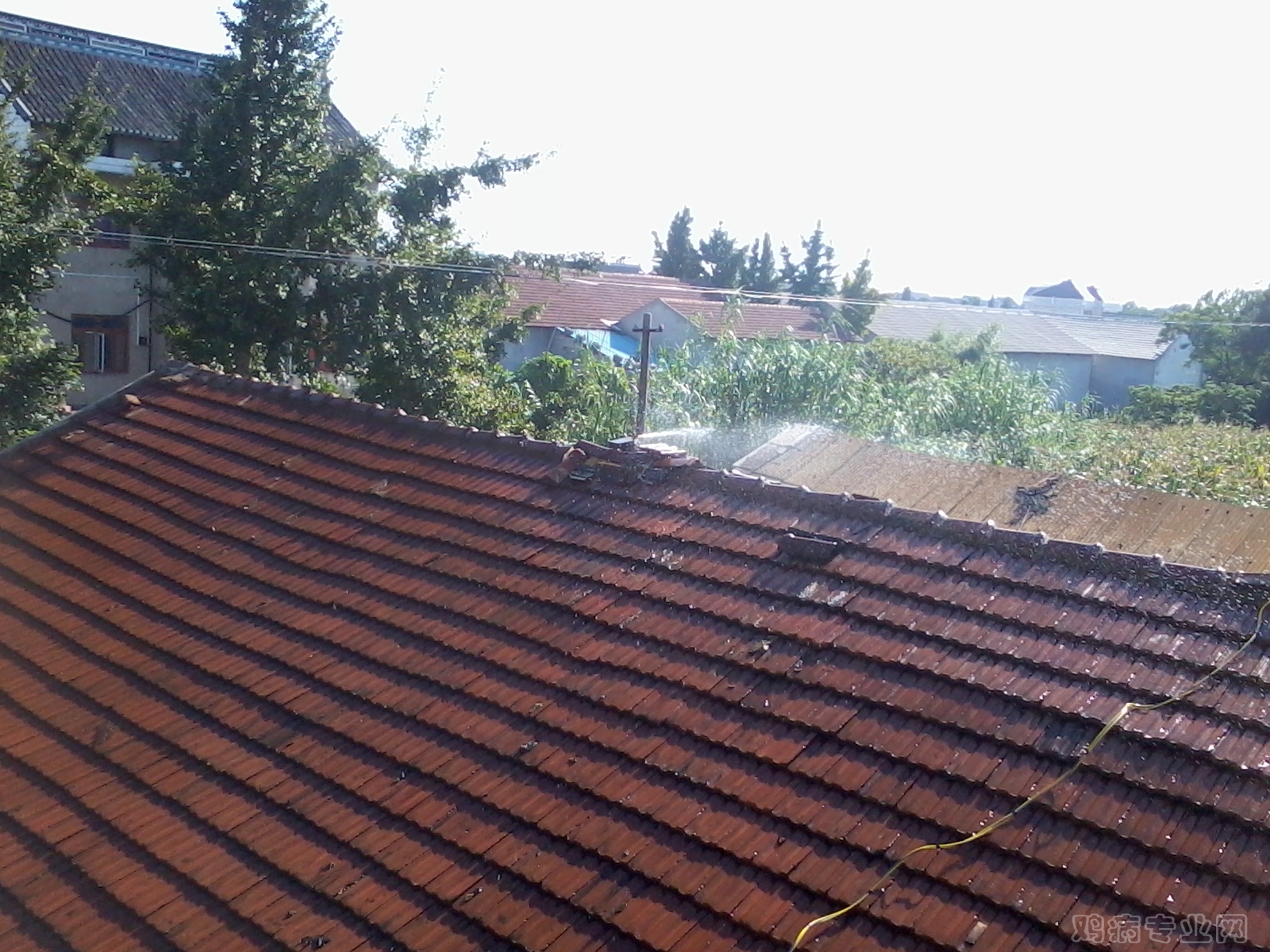 2012-07-29 15.48.38.jpg