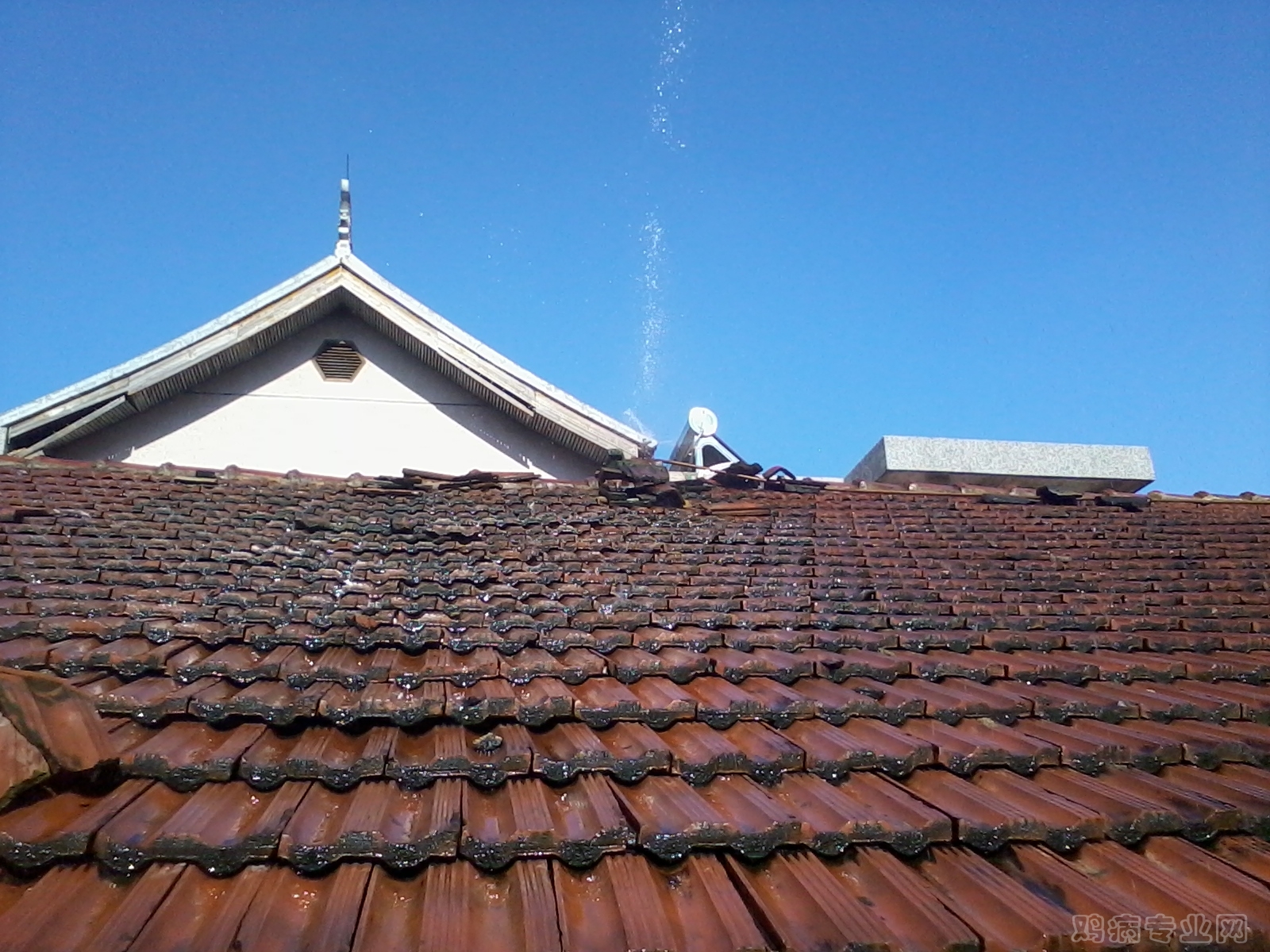 2012-07-29 15.45.00.jpg