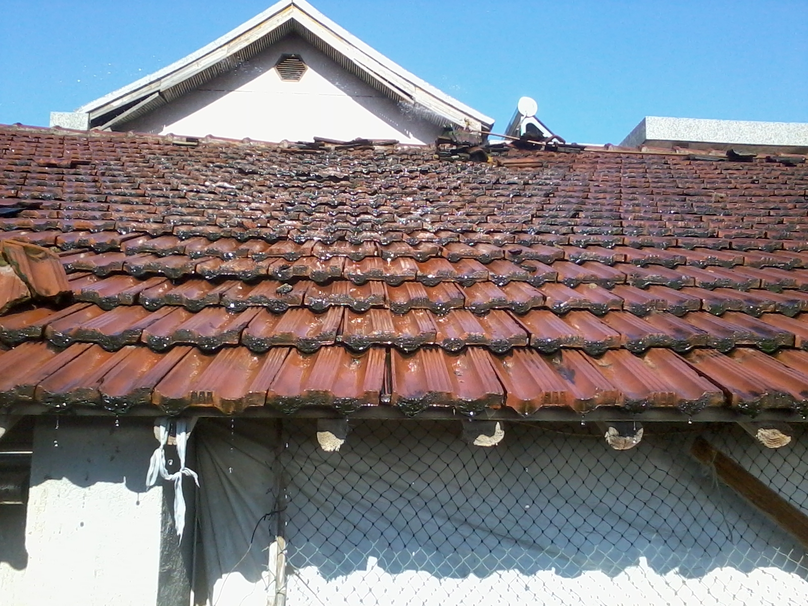 2012-07-29 15.43.45.jpg