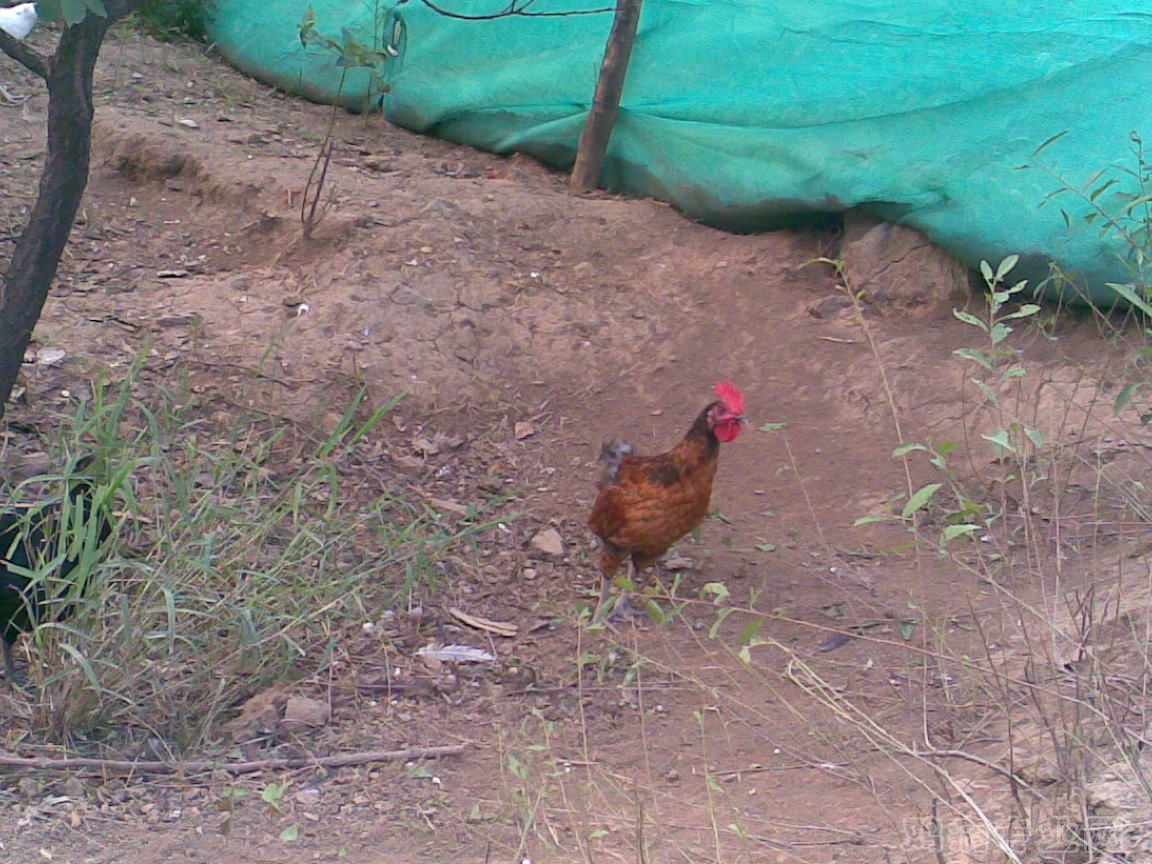 20120718(002).jpg