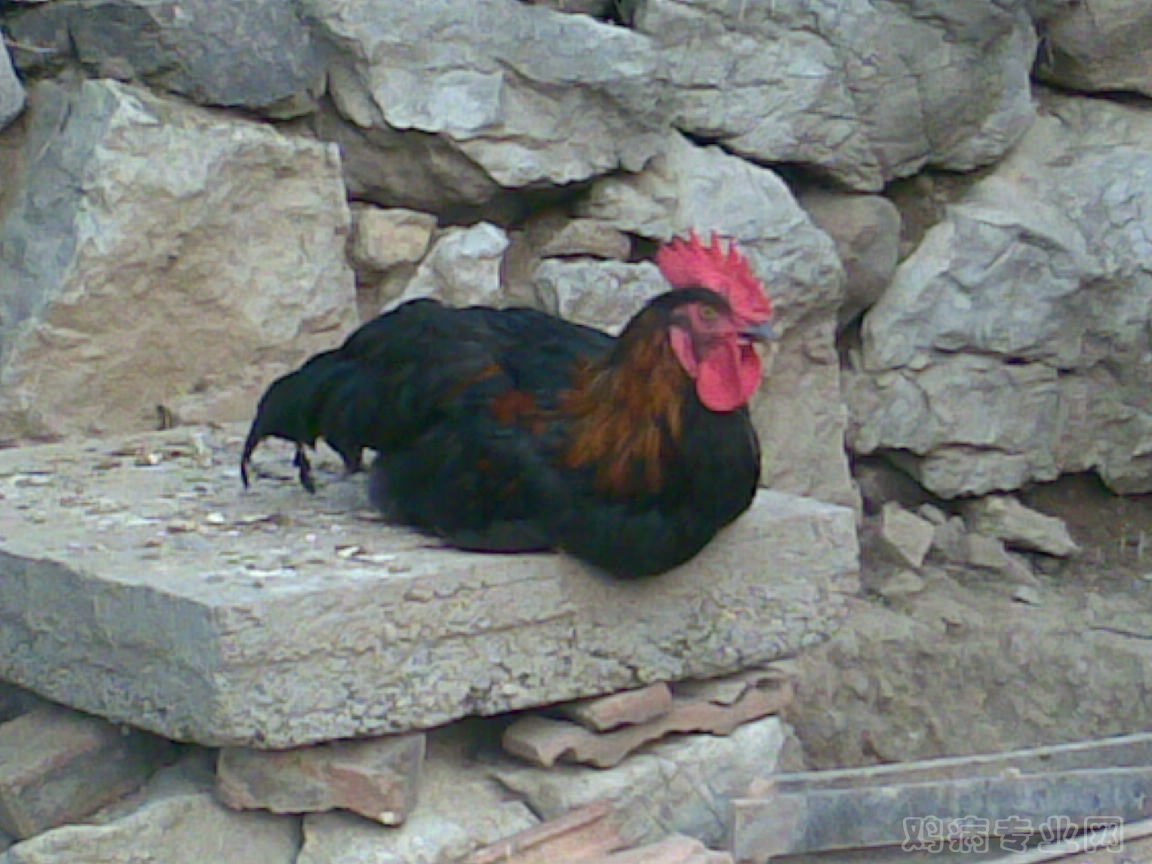 20120718(004).jpg