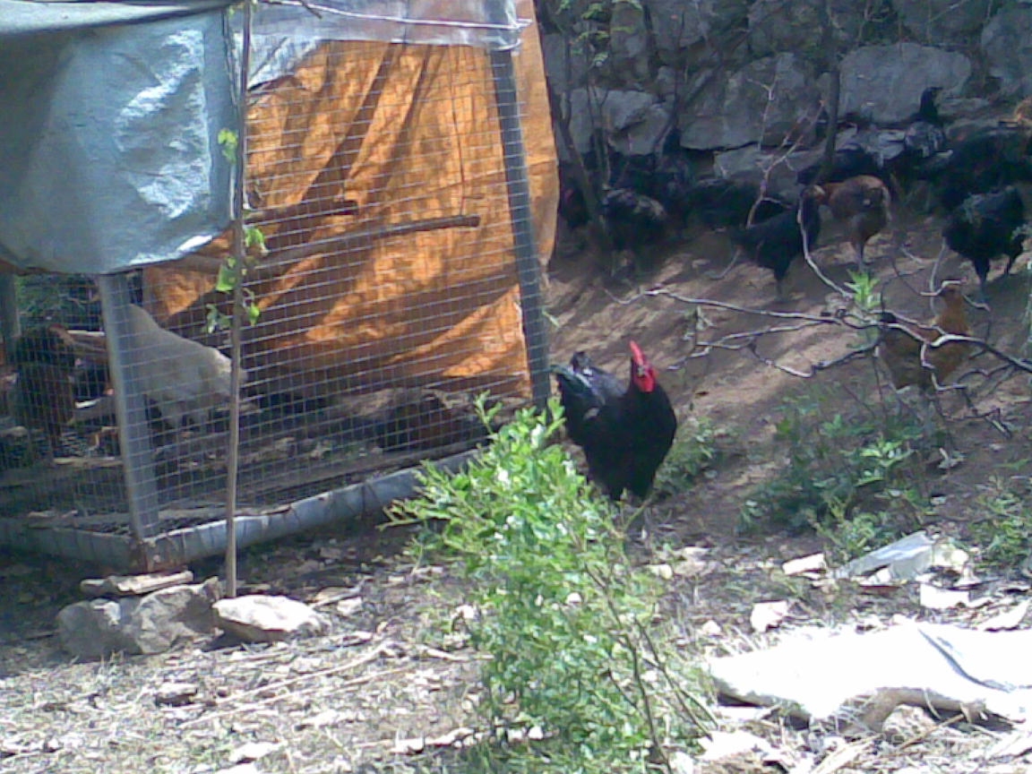 20120701.jpg