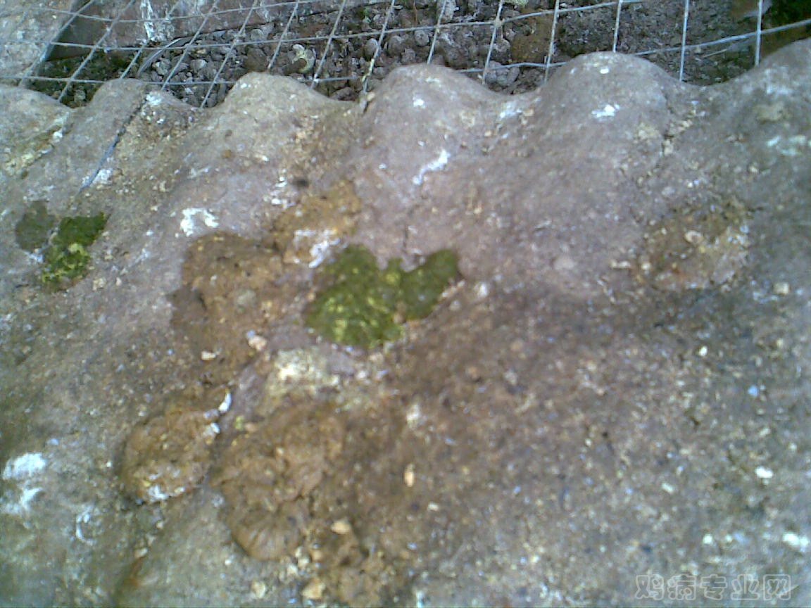 20120715(001).jpg
