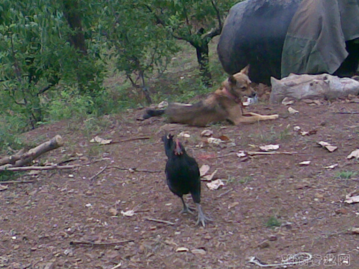 20120630(003).jpg