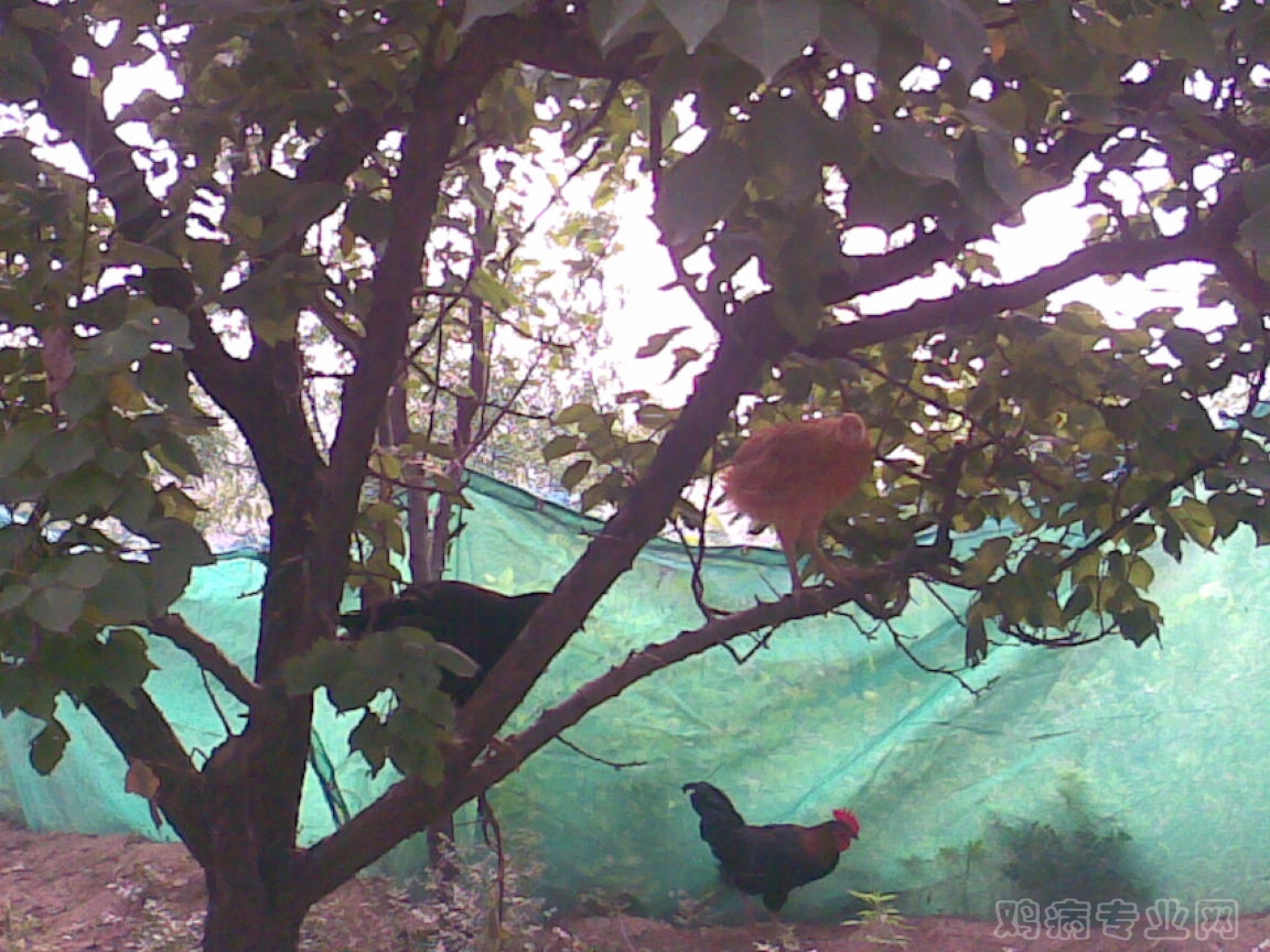 20120718(001).jpg