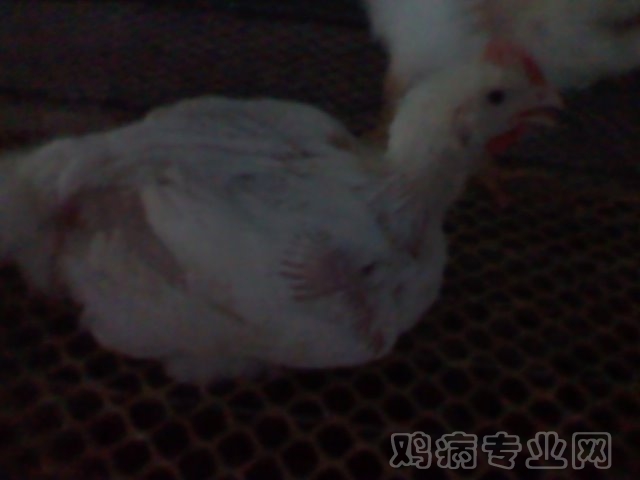 2012-07-22 10.30.43.jpg