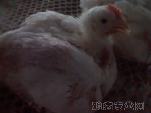 2012-07-22 10.27.09.jpg