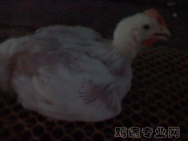 2012-07-22 10.30.51.jpg