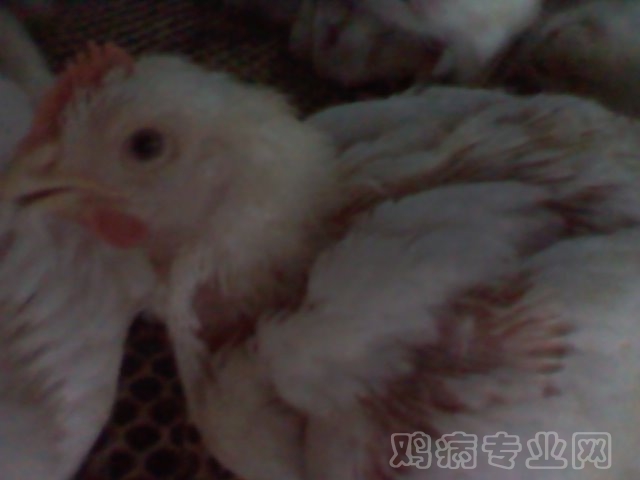 2012-07-22 10.28.40.jpg