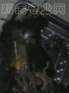 NMZFS1CAL1YPK2CASR8JTPCACS33BJCAV0AH1XCAQJXXRCCAWEZWHXCAMUY8Q2CACOM349CA8I9CKRCA6N6EWVCAARS696CARJD