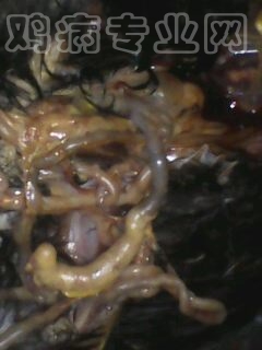 O93Y26CAQFETMDCAKEQ0AJCA0J0UKLCAS4UUPNCAR8SGB3CAW2ROMGCAB1I1PYCAVQ99KKCAN8EB2FCA9S2TM3CAWPI4PVCANX7