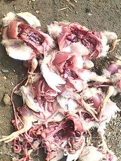 7OCSSGCAWNURT1CAQJA3RJCADRMOWUCADE7JQVCAFYJHM9CAL0WWPYCA9QNHDECA2TSJ0FCAARC44TCA8DRB4RCAWAQIYDCAG8Q