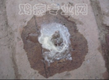 3.ֻ
