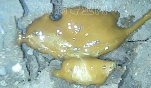 5.ֻ