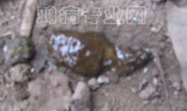 4.ֻ