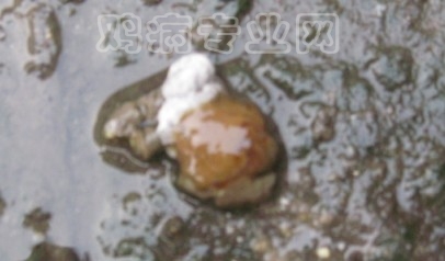 6.ֻ
