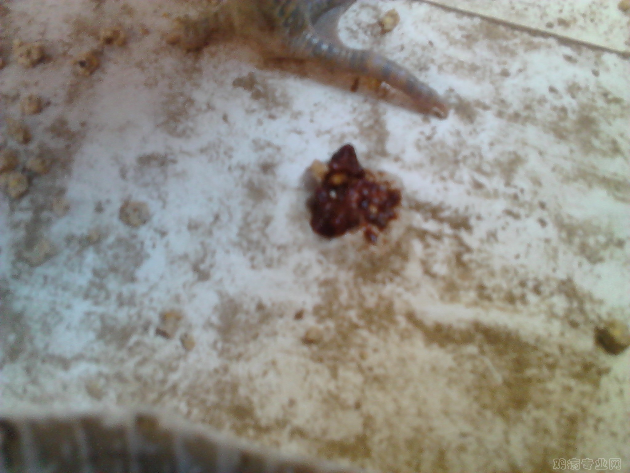 IMG_20120815_093800.jpg