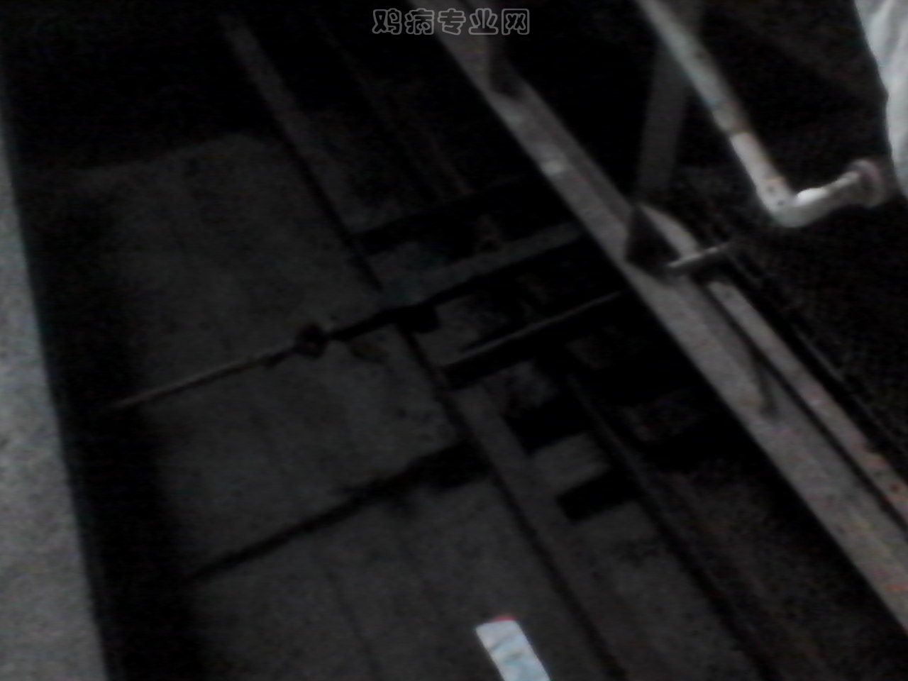 IMG00190.jpg