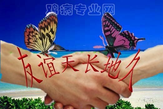 youyi.jpg