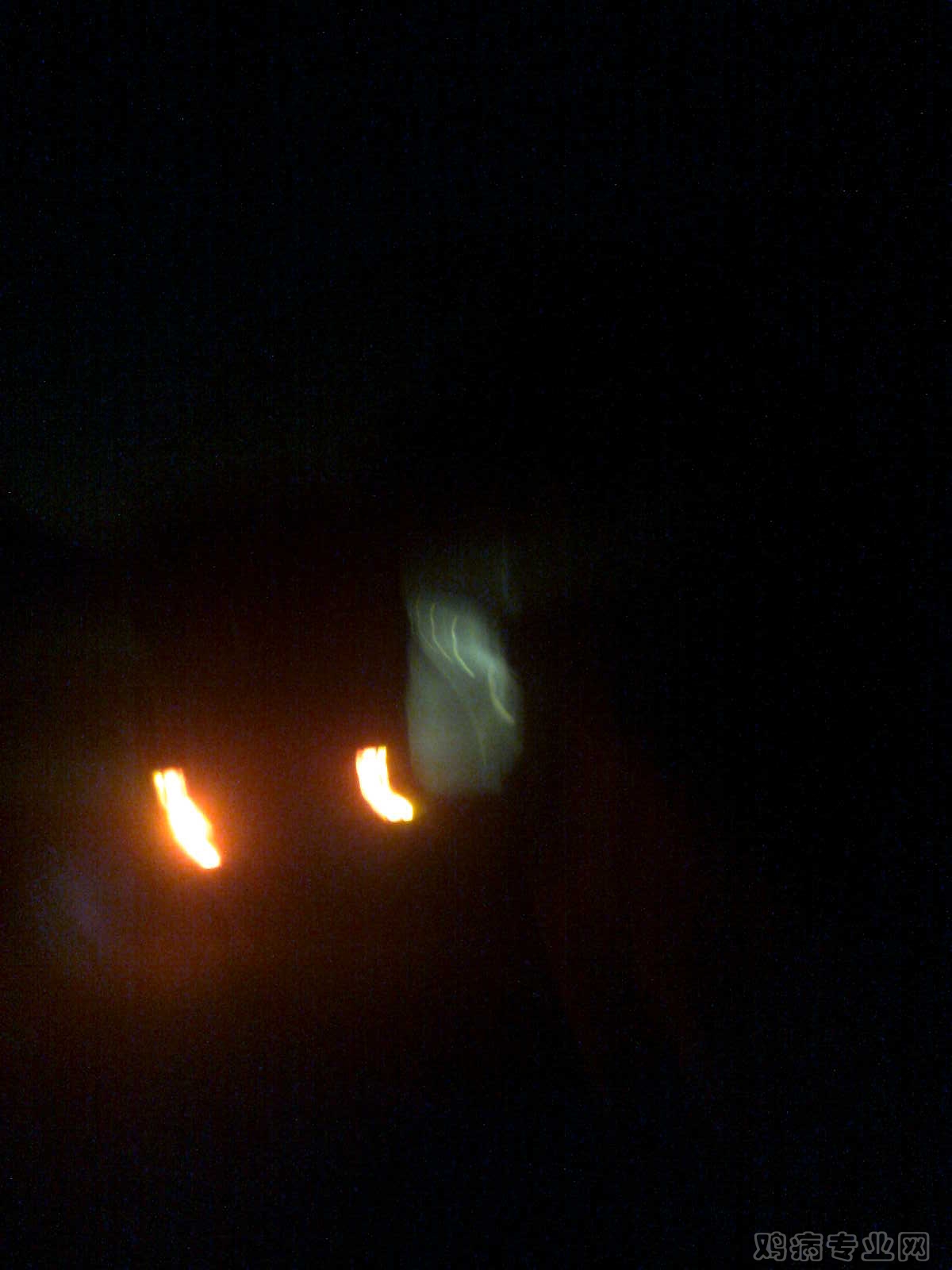 006.jpg