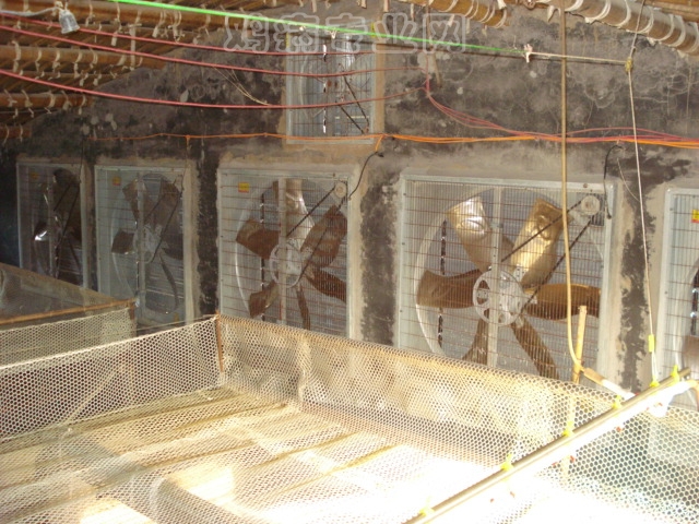 DSC05189.JPG
