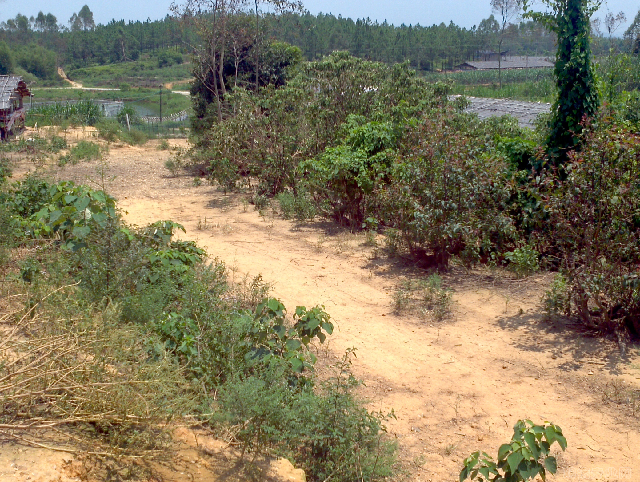 2012-08-15_12-20-22_982.jpg