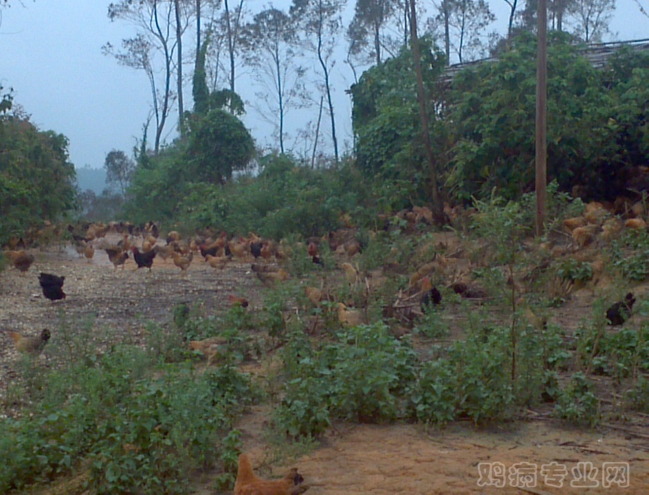 2012-08-16_11-18-14_25.jpg
