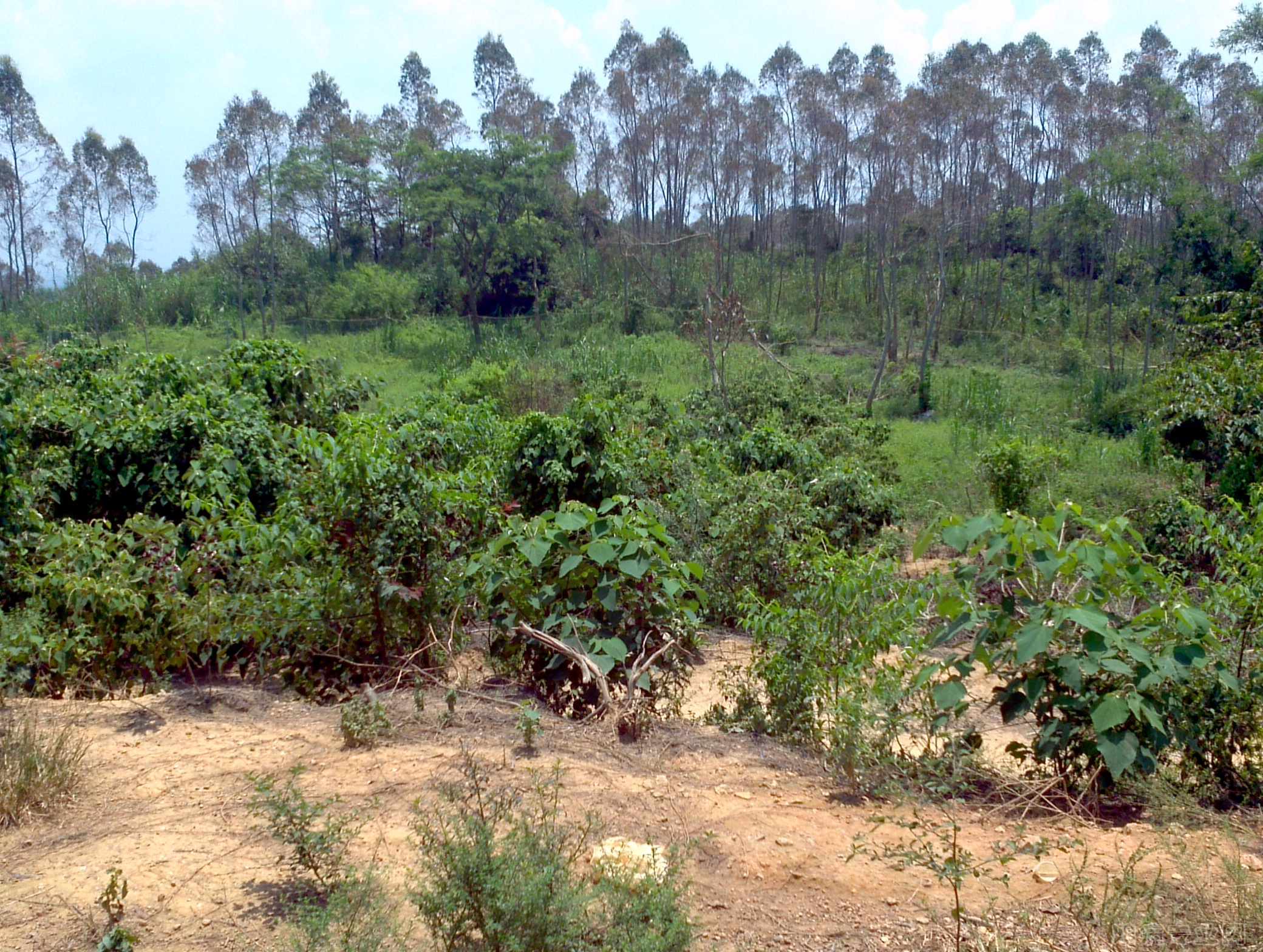 2012-08-15_12-19-43_341.jpg