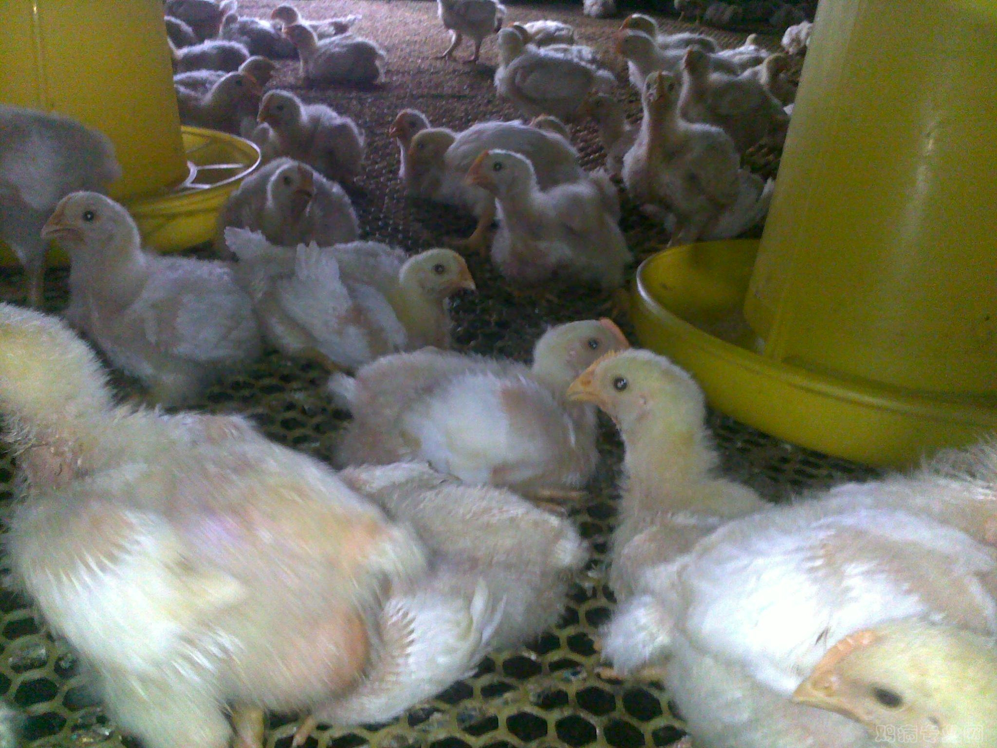 20120808214.jpg