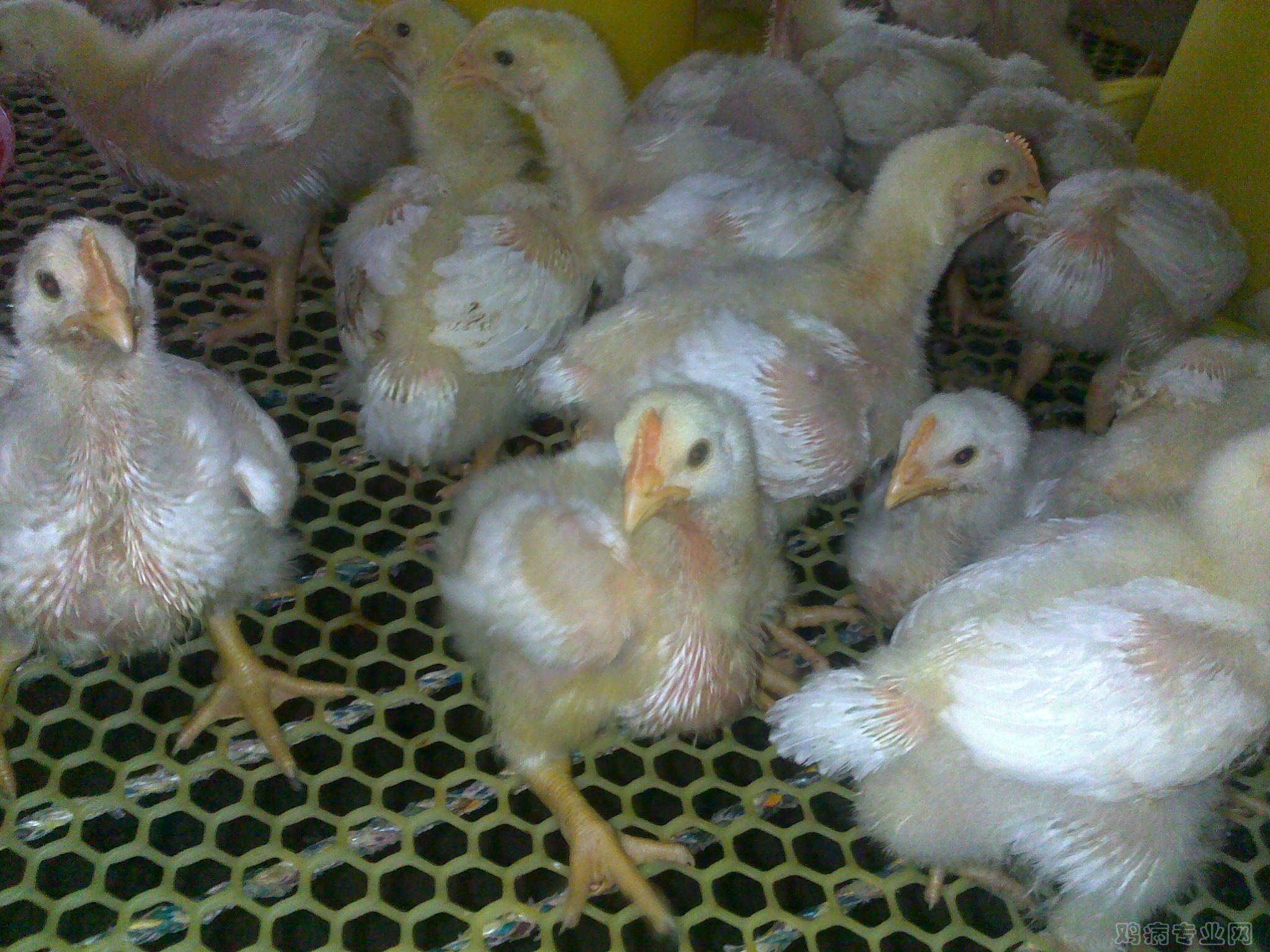 20120808231.jpg