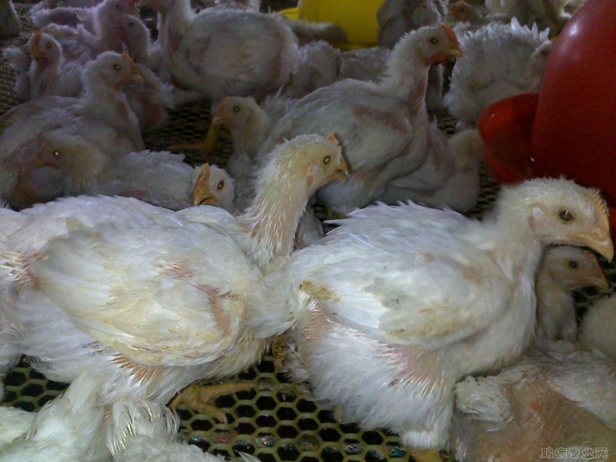 20120819334.jpg