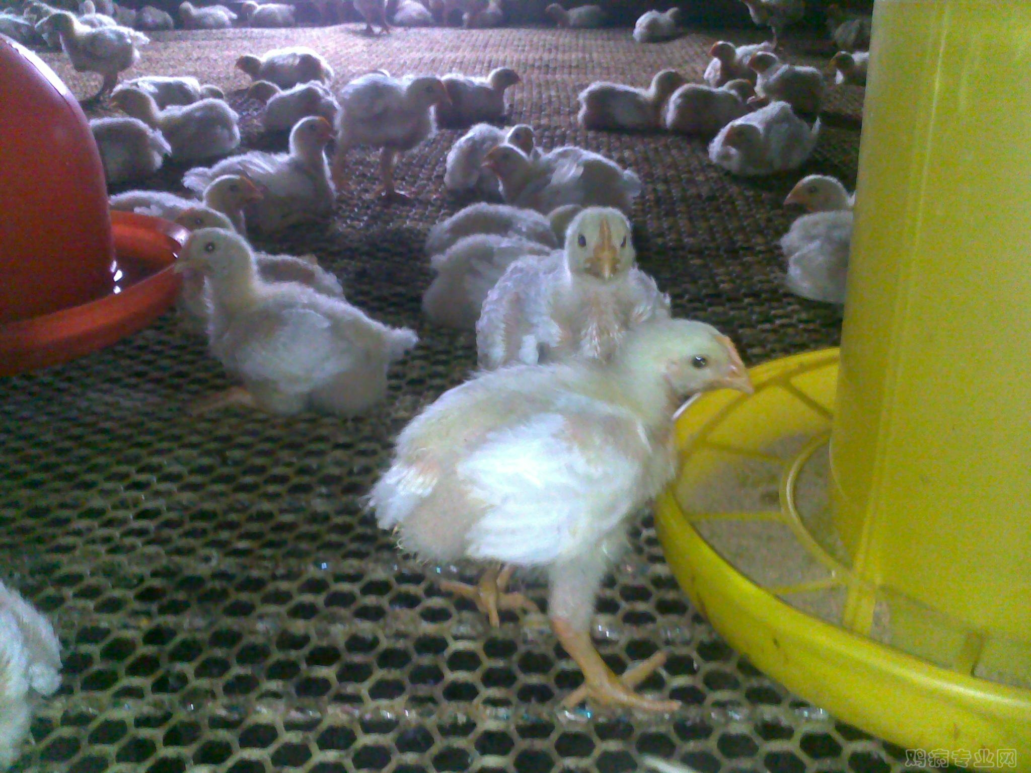 20120808215.jpg